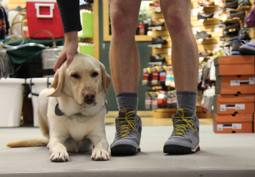 Outdoor Sports Store «Active Endeavors», reviews and photos, 138 S Clinton St, Iowa City, IA 52240, USA