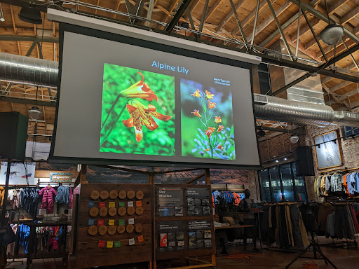 Clothing Store «Patagonia Outlet Reno», reviews and photos, 130 S Center St, Reno, NV 89501, USA