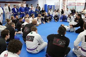 Infinite Brazilian Jiu Jitsu image