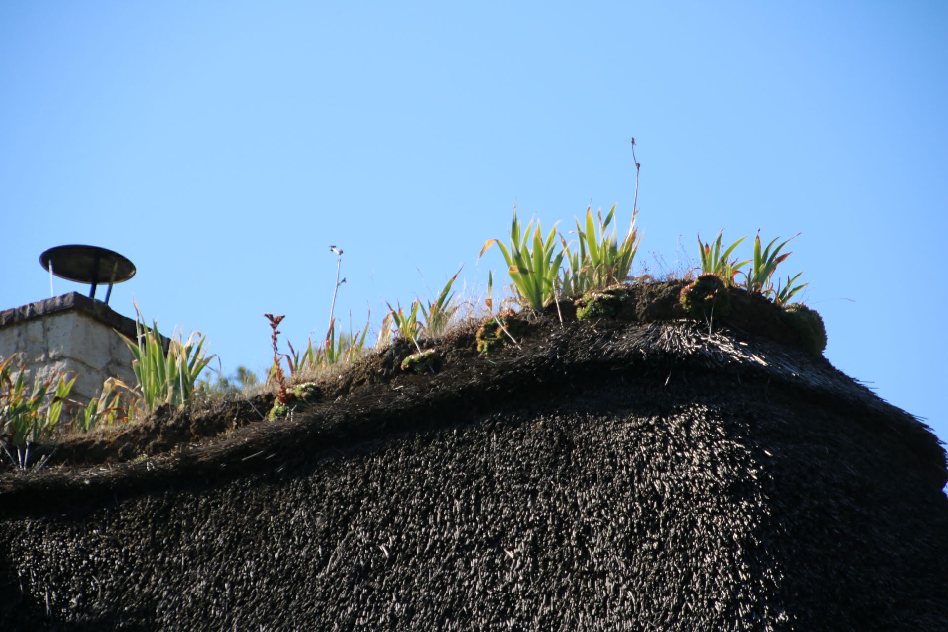 Photo n° 30 de l'avis de Rich. fait le 21/08/2018 à 18:53