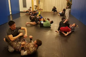 Upstream BJJ image