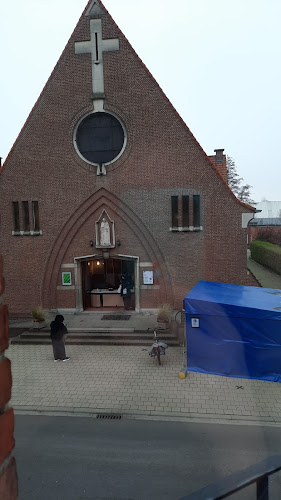 Beoordelingen van Welzijnsschakels Sint-Niklaas in Sint-Niklaas - Vereniging