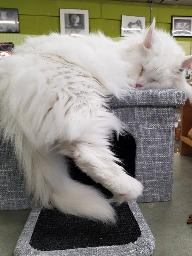 Pet Supply Store «Animal Krackers Inc», reviews and photos, 232 Main St, Gloucester, MA 01930, USA