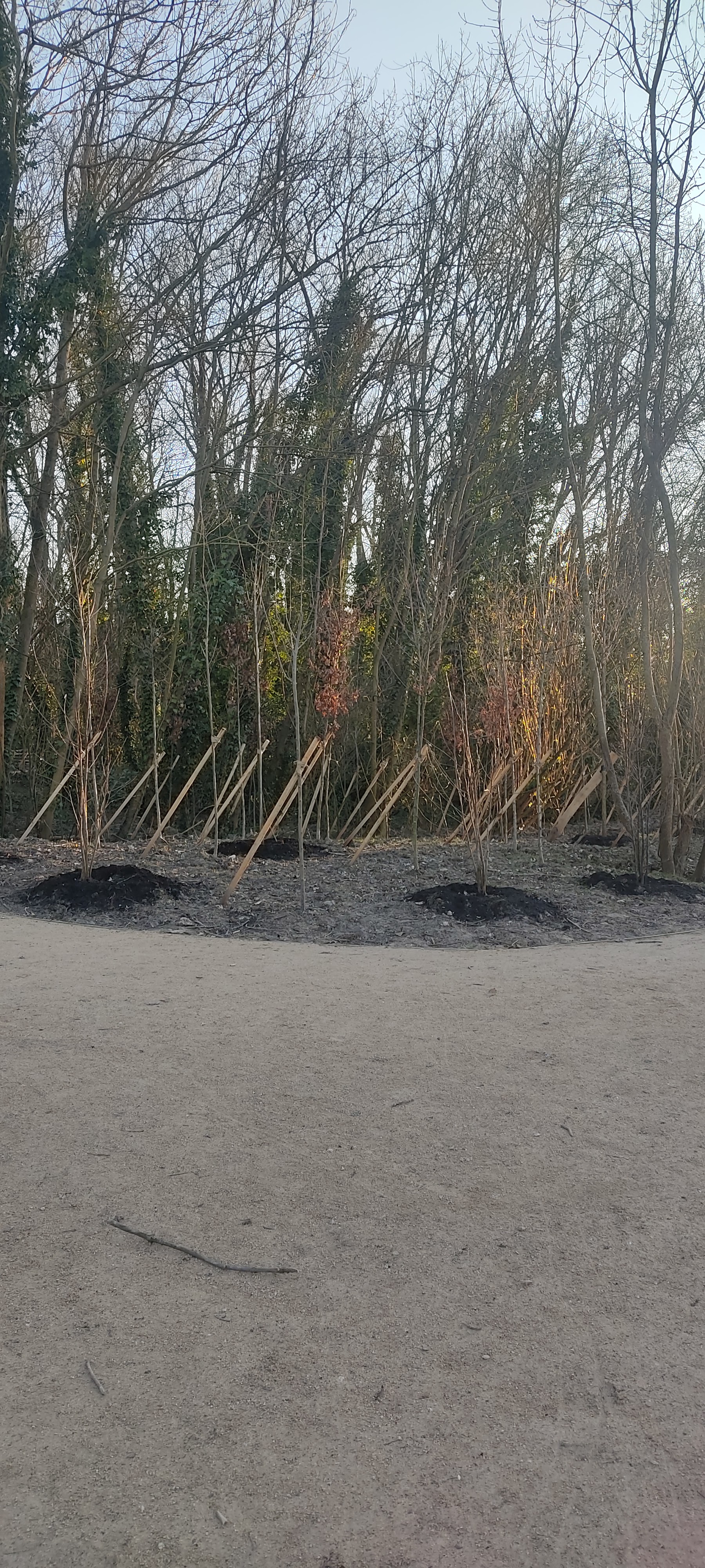 Photo n° 4 de l'avis de Chrystelle.o fait le 26/02/2022 à 18:50