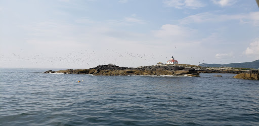 Sightseeing Tour Agency «Lulu Lobster Boat Ride», reviews and photos, 55 West St, Bar Harbor, ME 04609, USA