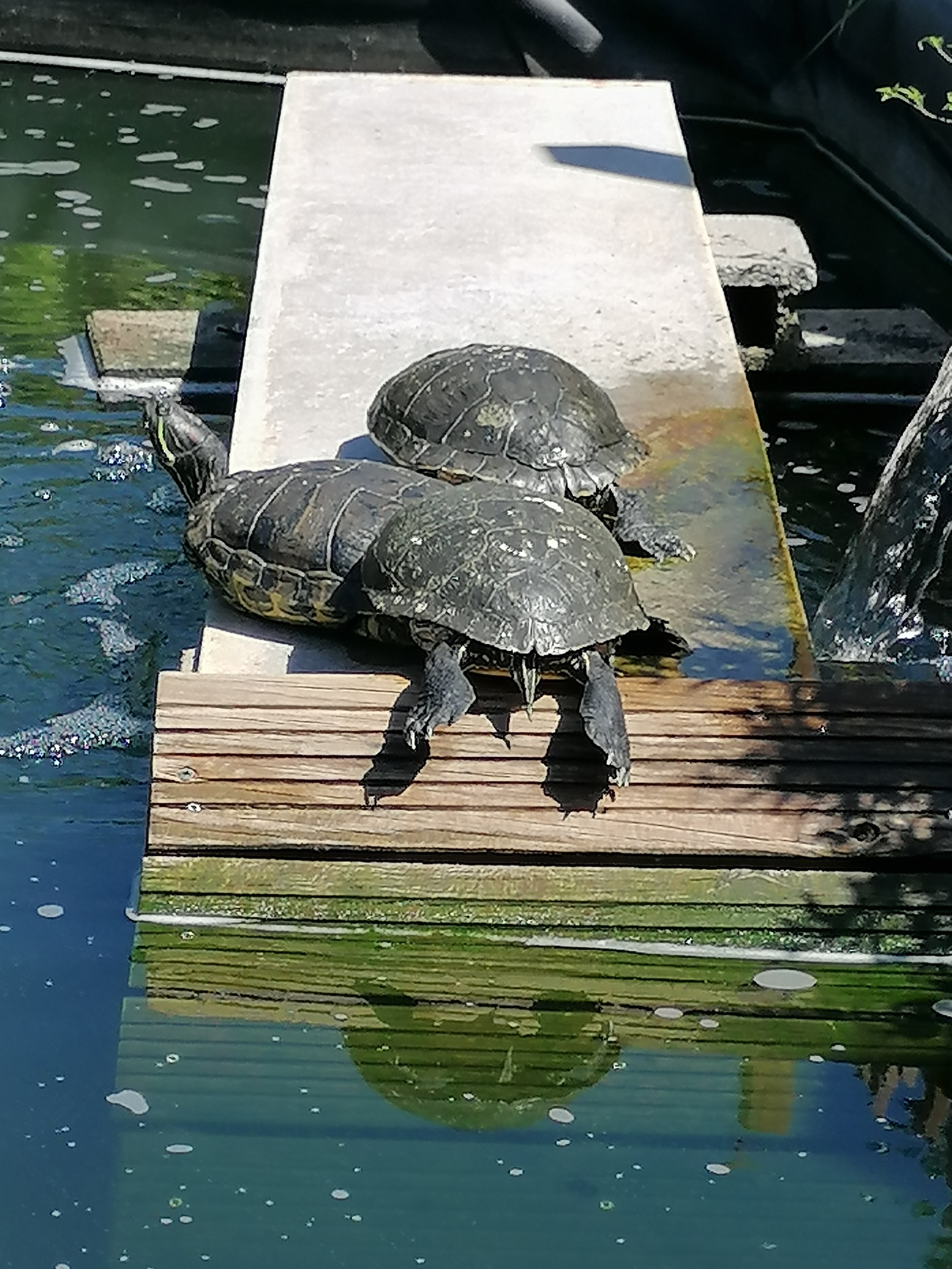 Photo n° 7 de l'avis de isabelle.e fait le 29/07/2021 à 14:52