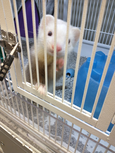 Pet Supply Store «Pet Supplies Plus», reviews and photos, 6101 Stellhorn Rd, Fort Wayne, IN 46815, USA