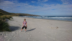 Φωτογραφία του Allans Beach ubicado en área natural