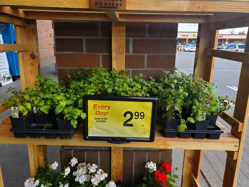 Grocery Store «Albertsons», reviews and photos, 11012 Canyon Rd E, Puyallup, WA 98373, USA