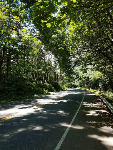 Park «Sacajawea Park», reviews and photos, 1401 S Dash Point Rd, Federal Way, WA 98003, USA