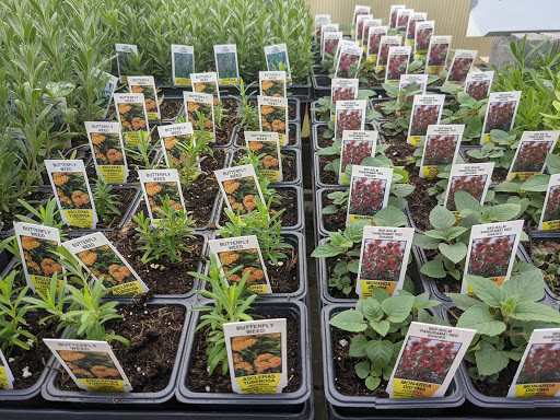 Wholesale Plant Nursery «Garden Fantasy», reviews and photos, 43250 Tyler Rd, Belleville, MI 48111, USA