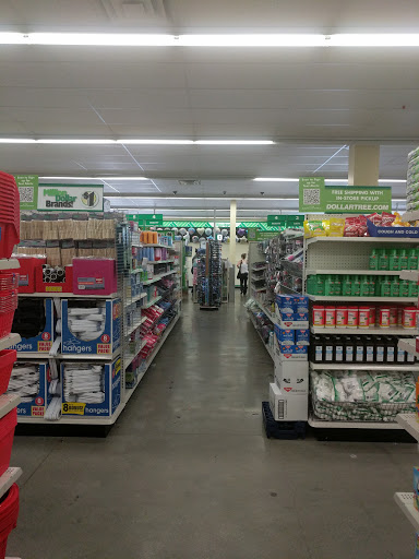 Dollar Store «Dollar Tree», reviews and photos, 1505 S Pacific Ave, San Pedro, CA 90731, USA