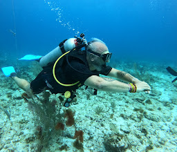 Go Diving Cancun photo