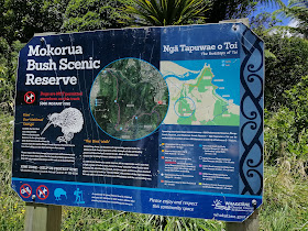 Mokoroa Bush Reserve