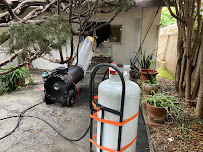 Bed Bug Seekers - Photo 9 - Car repair in , Murrieta