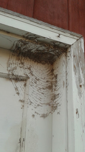 Produce Market «Natura Farms», reviews and photos, 19060 Manning Trail N, Marine on St Croix, MN 55047, USA