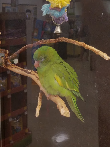 Pet Supply Store «PetSmart», reviews and photos, 4749 Valley View Blvd NW, Roanoke, VA 24012, USA