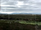 Point Edith Wildlife Area