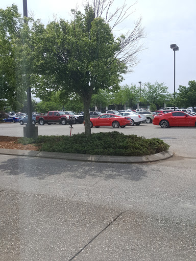 Car Dealer «Collins Nissan», reviews and photos, 4142 Bardstown Rd, Louisville, KY 40218, USA