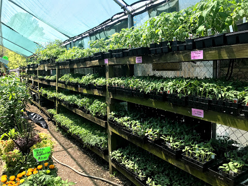 Animal Feed Store «Mid-County Farm & Feed Supply», reviews and photos, 128 S Twin City Hwy, Nederland, TX 77627, USA