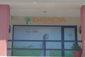 Enzacta image