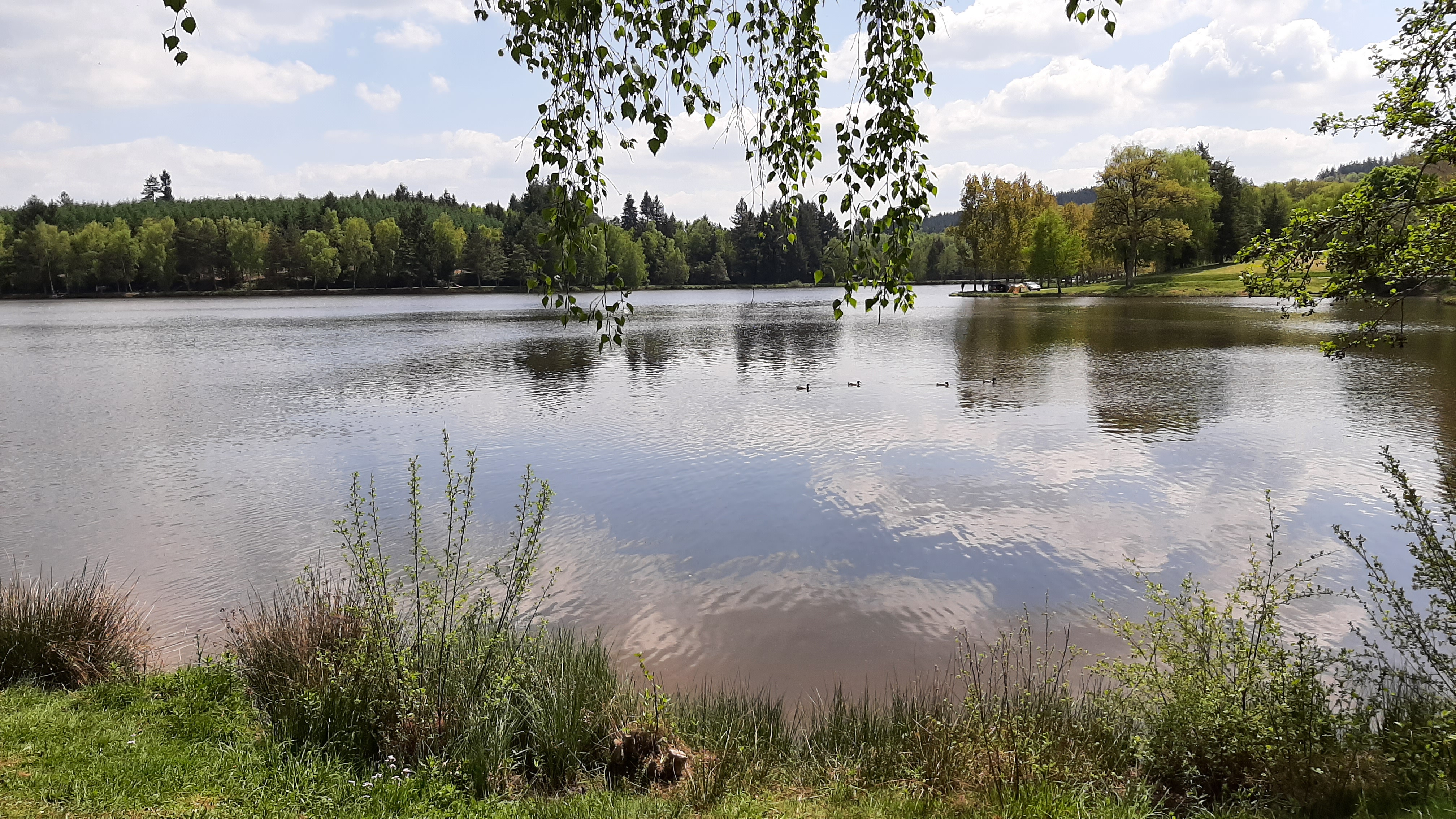 Photo n° 13 de l'avis de Raymond.e fait le 08/05/2022 à 13:49