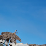 Photo n°4 de l'avis de Giulio.S fait le 10/07/2022 à 10:38 sur le  Le Capannine à Catania