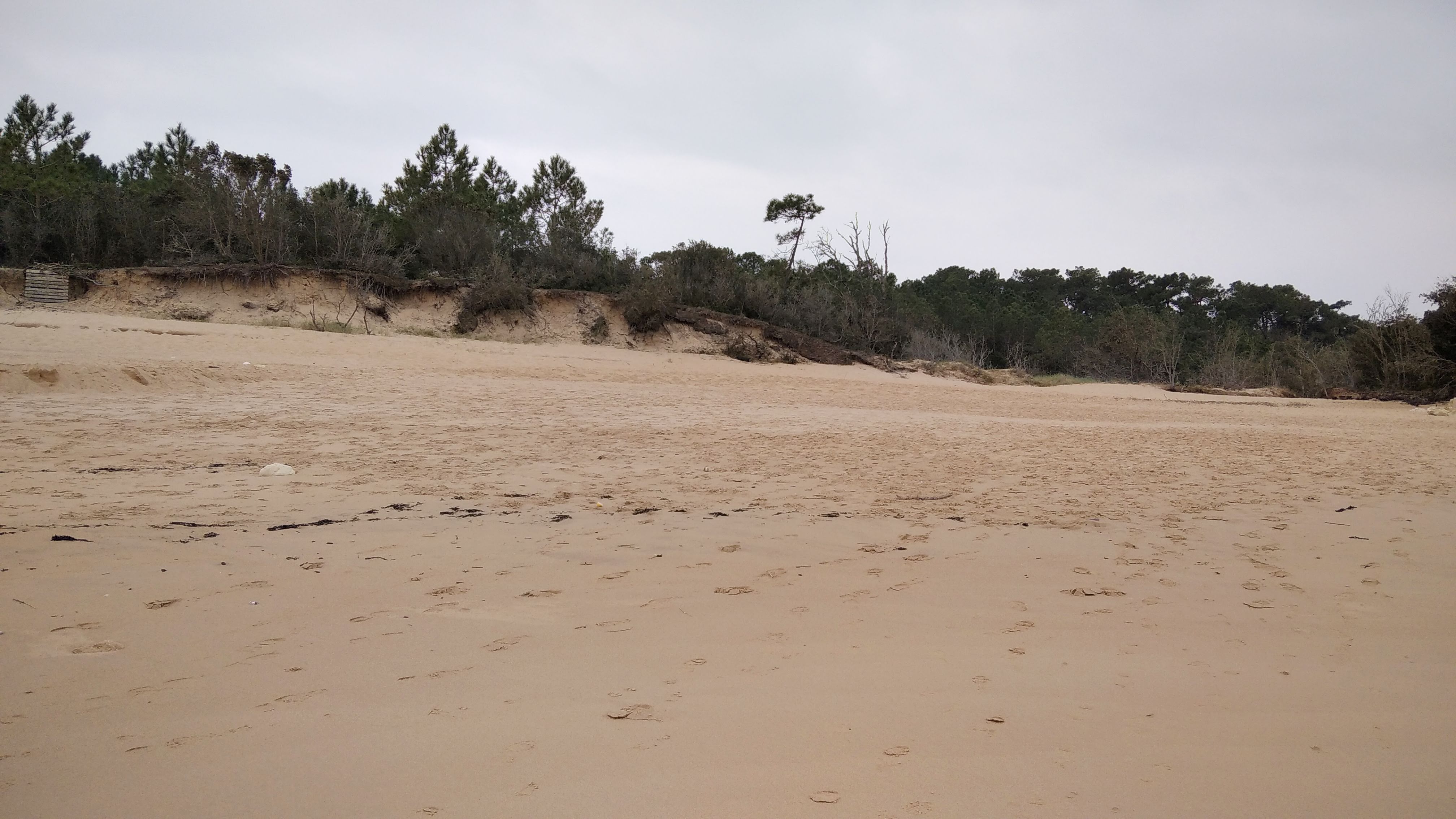 Photo n° 12 de l'avis de Patrick.o fait le 31/07/2019 à 20:03