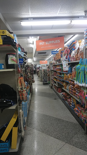 Discount Store «Big Lots», reviews and photos, 2412 S Volusia Ave, Orange City, FL 32763, USA