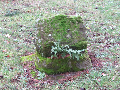 Auto Repair Shop «Meineke Car Care Center», reviews and photos, 3635 SE 82nd Ave, Portland, OR 97266, USA