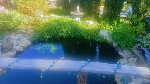 Wine Store «Grayhaven Winery», reviews and photos, 4675 E Gray Fox Cir, Mineral, VA 23117, USA