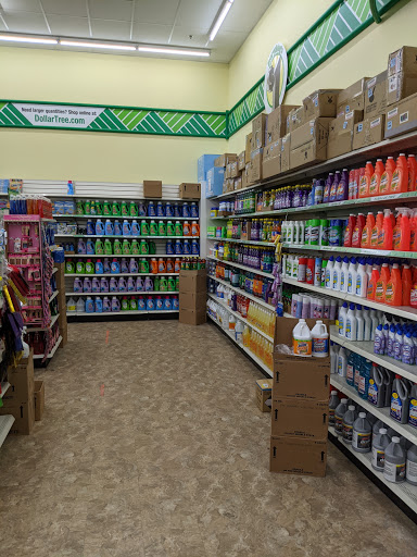 Dollar Store «Dollar Tree», reviews and photos, 423 US-46, Dover, NJ 07801, USA