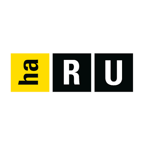 Rezensionen über HARU GmbH Immobilien & Treuhand in Buchs - Immobilienmakler
