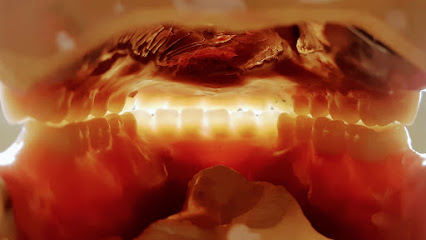 Nasser Farjadi , R.D. Registered Denturist