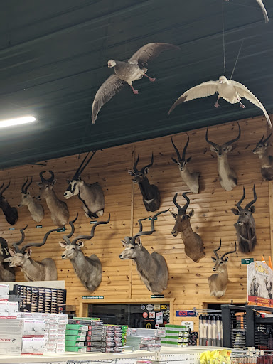 Sporting Goods Store «Midwestern Shooters Supply», reviews and photos, 191 Church St, Lomira, WI 53048, USA