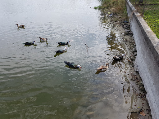 Park «Oak Lake Park», reviews and photos, 3190 N 56th Ave, Hollywood, FL 33021, USA