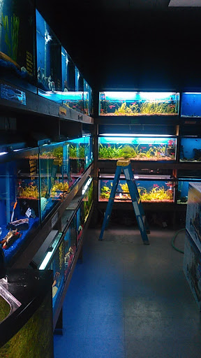 Pet Store «Fin-N-Feather», reviews and photos, 2931 F St, Eureka, CA 95501, USA