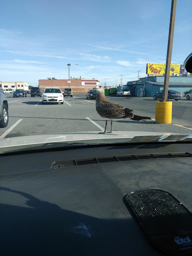 Laundromat «Ocean Suds II Laundromat», reviews and photos, 18675 Coastal Hwy, Rehoboth Beach, DE 19971, USA