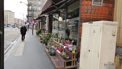 Florocean à Le Havre