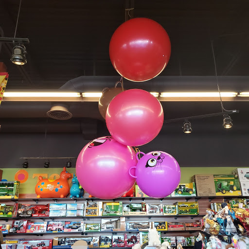 Toy Store «ToyTown», reviews and photos, 3327 N Eagle Rd #120, Meridian, ID 83646, USA