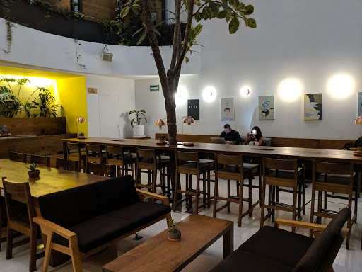Cafeterias para estudiar en Ciudad de Mexico