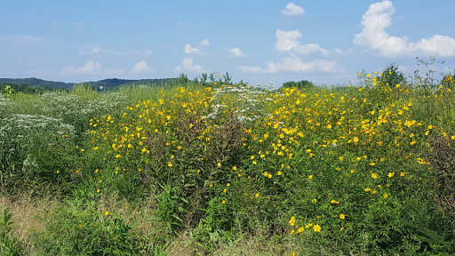 Golf Club «Crescent Farms Golf Club», reviews and photos, 745 Lewis Rd, Crescent, MO 63025, USA