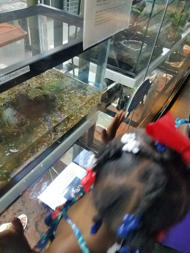 Museum «Peggy Notebaert Nature Museum», reviews and photos, 2430 N Cannon Dr, Chicago, IL 60614, USA