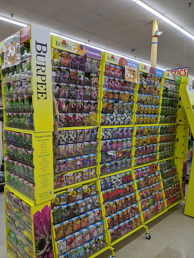 Shopping Mall «Holyoke Mall», reviews and photos, 50 Holyoke St, Holyoke, MA 01040, USA