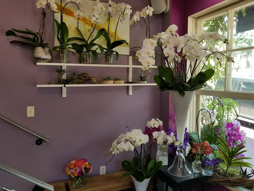 Florist «Ultra Violet Flowers», reviews and photos, 1218 31st St NW, Washington, DC 20007, USA