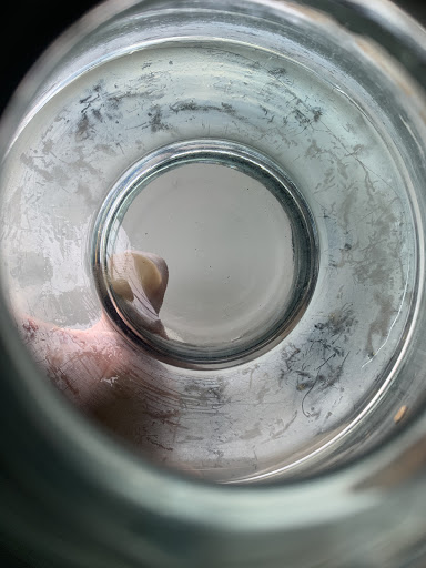 Tobacco Shop «Arabica Tobacco», reviews and photos, 1110 W Broad St, Falls Church, VA 22046, USA