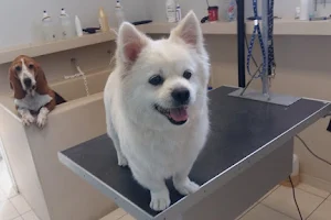 Dog Spa image