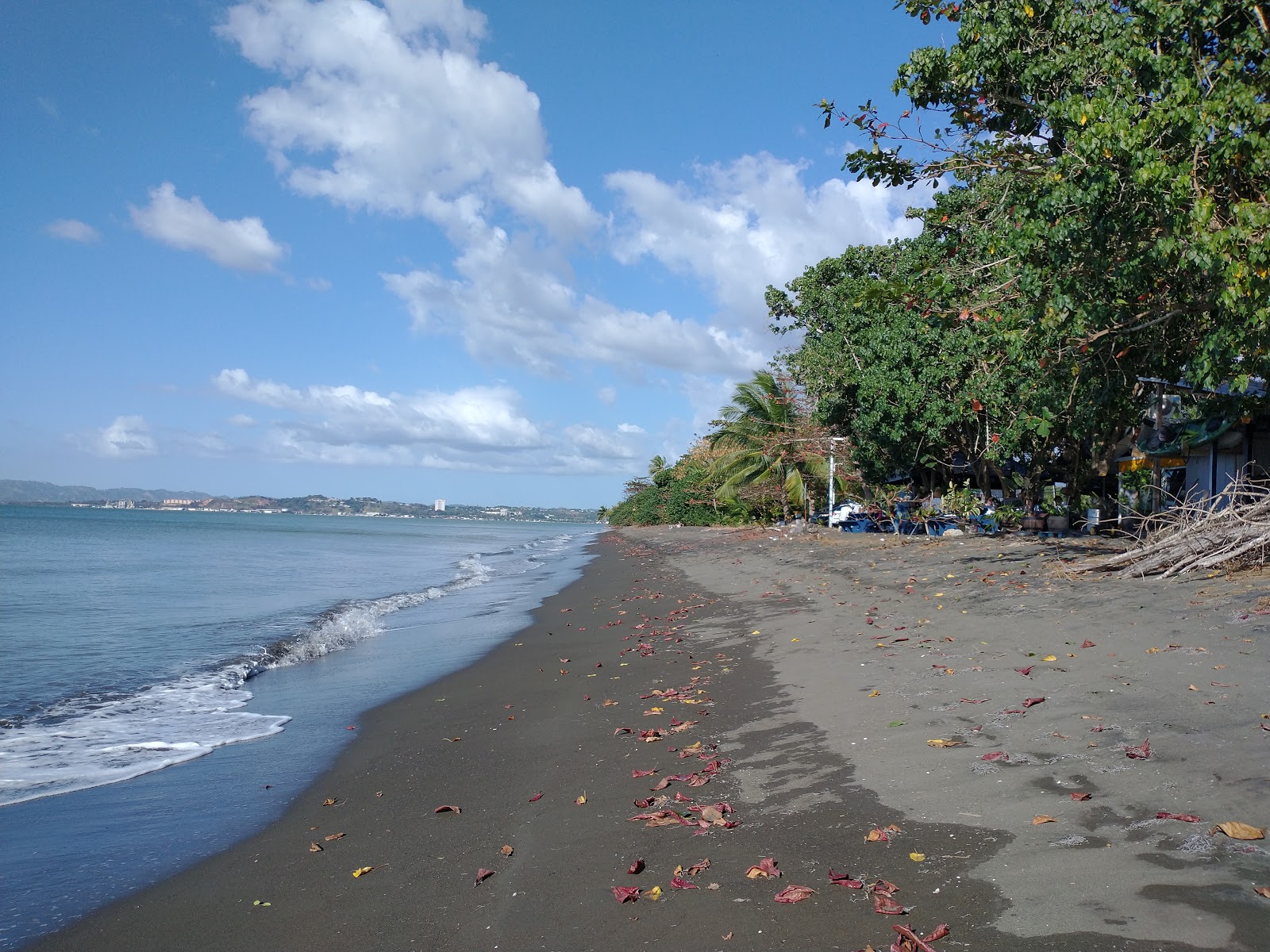 Foto di Playa Bramadero con una superficie del sabbia grigia