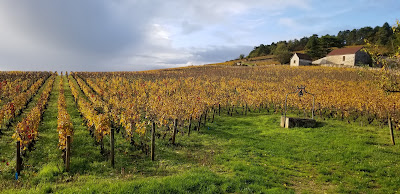 Domaine Ponsot à Morey-Saint-Denis