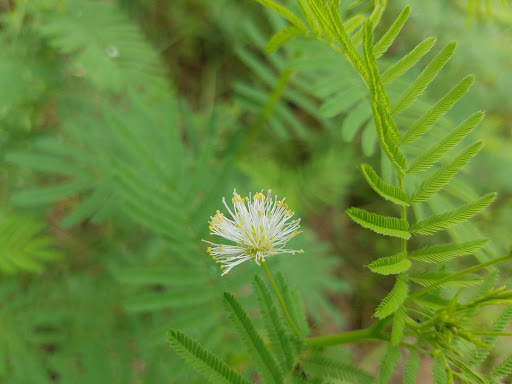 Park «DePauw Nature Park», reviews and photos, 1400 West County Road 125 South, Greencastle, IN 46135, USA